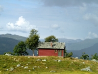 Reizen